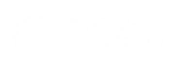 Merkur Startup