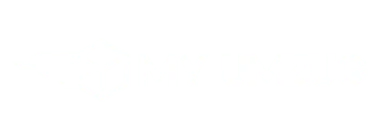 Umzug Transport